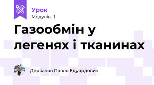 Газообмін у легенях і тканинах