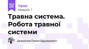 Травна система. Робота травної системи