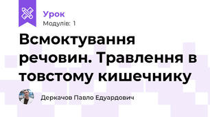 Всмоктування речовин. Травлення в товстому кишечнику