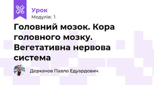 Головний мозок. Кора головного мозку. Вегетативна нервова система
