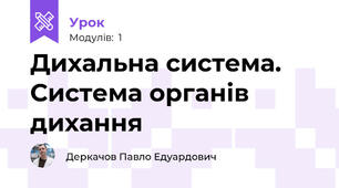 Дихальна система. Система органів дихання