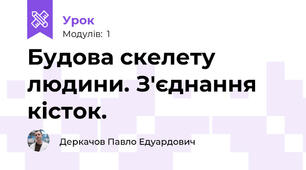 Будова скелету людини. З'єднання кісток.