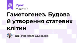Гаметогенез. Будова й утворення статевих клітин