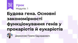 Будова гена. Основні закономірності функціонування генів у прокаріотів й еукаріотів