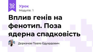 Вплив генів на фенотип. Поза ядерна спадковість