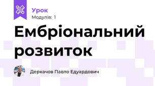 Ембріональний розвиток