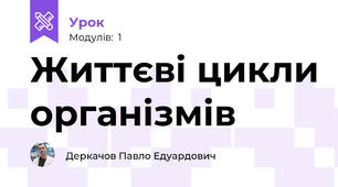 Життєві цикли організмів
