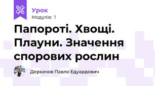 Папороті. Хвощі. Плауни. Значення спорових рослин