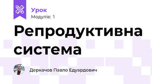 Репродуктивна система