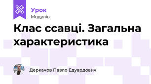 Клас ссавці. Загальна характеристика