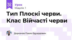 Тип Плоскі черви. Клас Війчасті черви