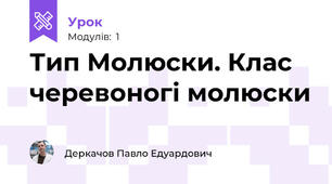 Тип Молюски. Клас черевоногі молюски