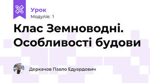 Клас Земноводні. Особливості будови
