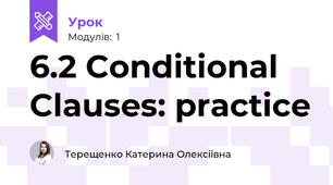 6.2 Conditional Clauses: practice