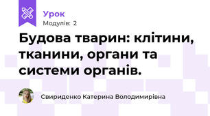 Будова тварин: клітини, тканини, органи та системи органів.