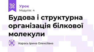 Будова і структурна організація білкової молекули