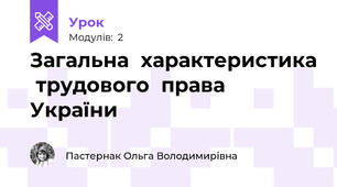   Загальна  характеристика  трудового  права  України                   