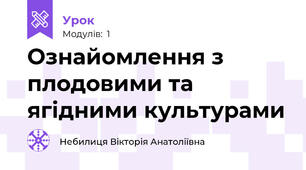 Ознайомлення з плодовими та ягідними культурами