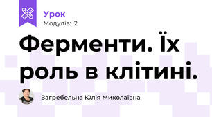 Ферменти. Їх роль в клітині.