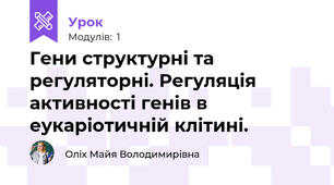 Гени структурні та регуляторні. Регуляція активності генів в еукаріотичній клітині. 
