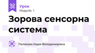Зорова сенсорна система