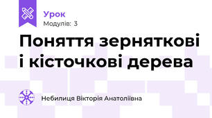 Поняття зерняткові і кісточкові дерева