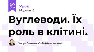 Вуглеводи. Їх роль в клітині.