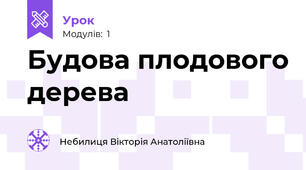 Будова плодового дерева