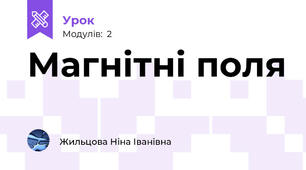 Магнітні поля