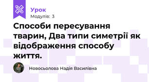 Способи пересування тварин, Два типи симетрії як відображення способу життя.