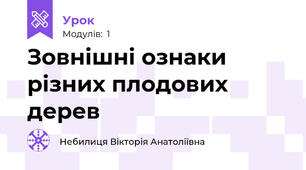 Зовнішні ознаки різних плодових дерев