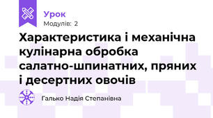 Характеристика і механічна кулінарна обробка салатно-шпинатних, пряних і десертних овочів