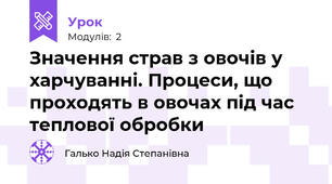 Значення страв з овочів у харчуванні. Процеси, що проходять в овочах під час теплової обробки