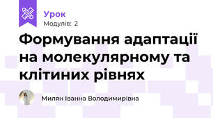 Формування адаптації на молекулярному та клітиних рівнях
