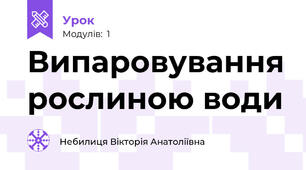 Випаровування рослиною води