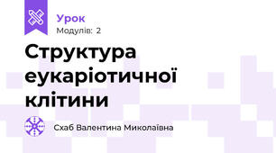 Структура еукаріотичної клітини