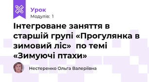 Інтегроване заняття в старшій групі «Прогулянка в зимовий ліс»  по темі «Зимуючі птахи»