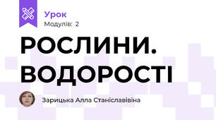 РОСЛИНИ. ВОДОРОСТІ