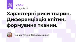 Характерні риси тварин. Диференціація клітин, формувння тканин.