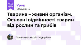 Тварина – живий організм. Основні відмінності тварин від рослин та грибів
