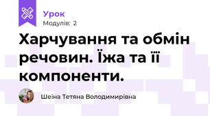 Харчування та обмін речовин. Їжа та її компоненти. 