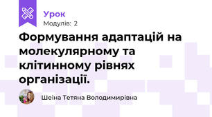 Формування адаптацій на молекулярному та клітинному рівнях організації.