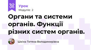 Органи та системи органів. Функції різних систем органів.