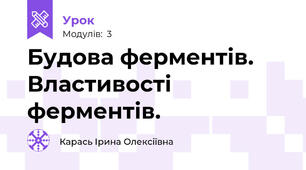 Будова ферментів. Властивості ферментів.