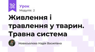 Живлення і травлення у тварин. Травна система