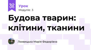 Будова тварин: клітини, тканини