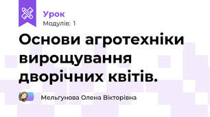 Основи агротехніки вирощування дворічних квітів.