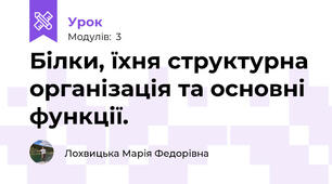 Білки, їхня структурна організація та основні функції.