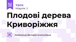 Плодові дерева Криворіжжя