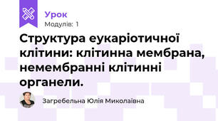 Структура еукаріотичної клітини: клітинна мембрана, немембранні клітинні органели.